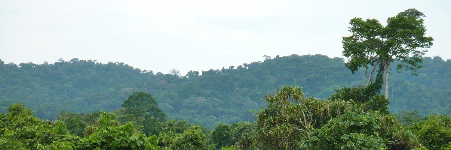 ClientEarth Forests banner