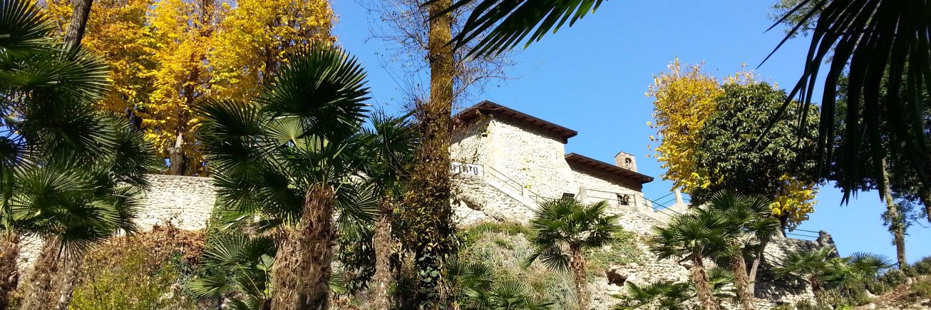 galeazzi2012's profile banner image