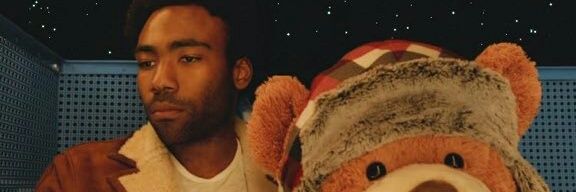 salvi banner