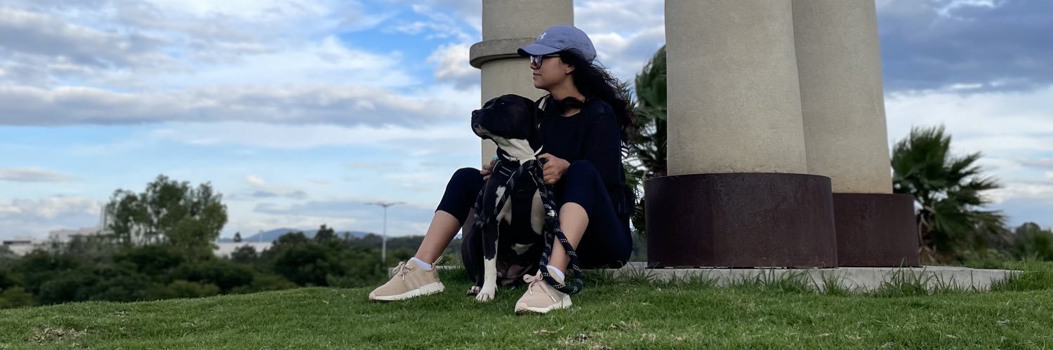 vangh_'s profile banner image