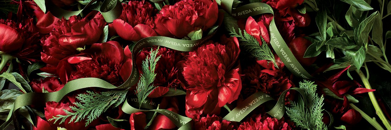 AvedaCanada's profile banner image