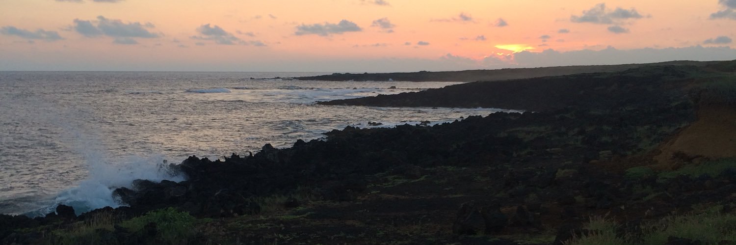 Michaela Jeffery banner