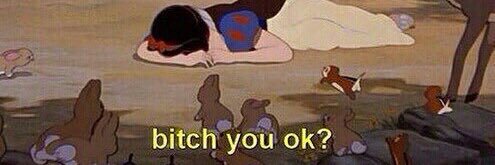 Emotional Support Top🫂 banner