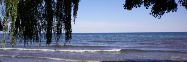 backwardsblonde Profile Banner