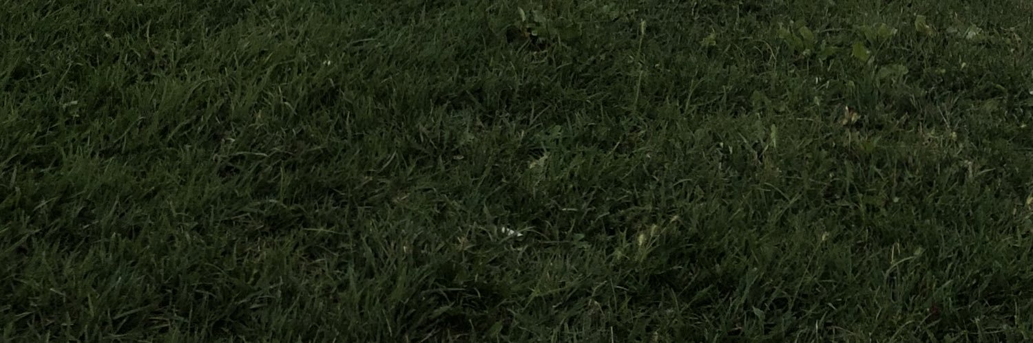 beyzdemircan's profile banner image