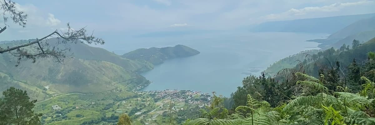 trininich's profile banner image