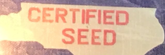 Seed126's profile banner image