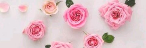 Kstillo29's profile banner image