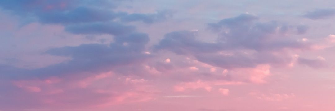 Palmenia's profile banner image