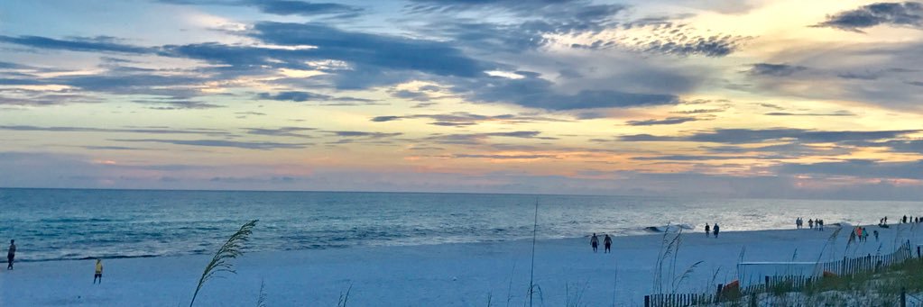 TracyVeverka's profile banner image