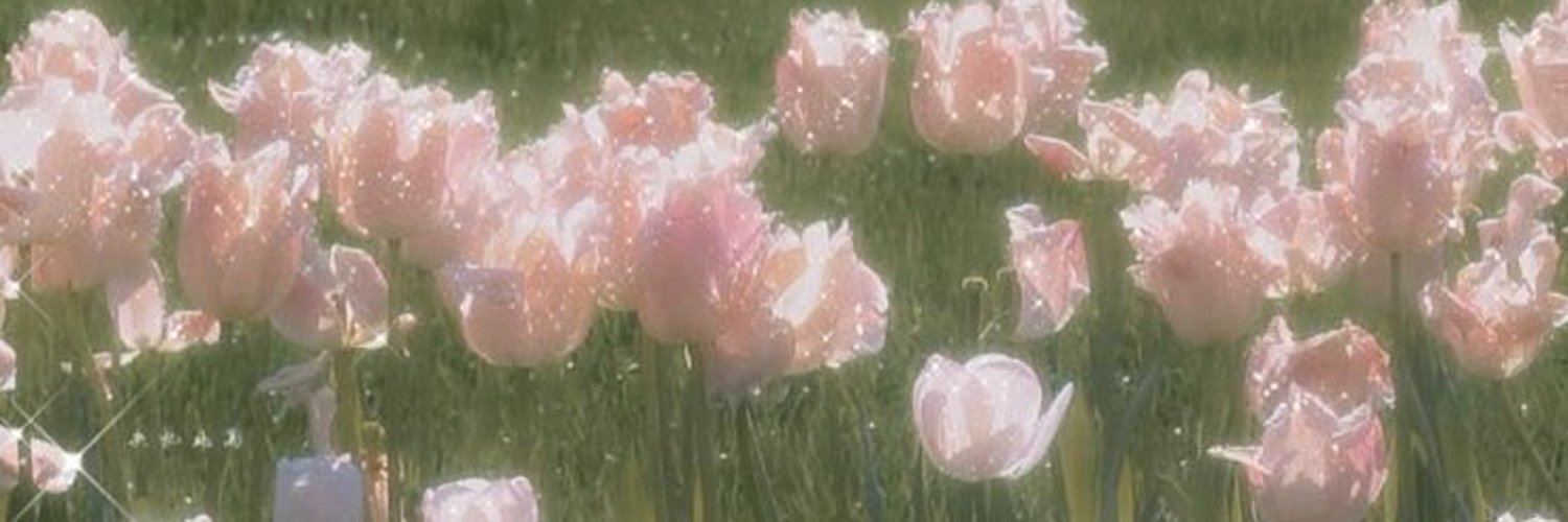 Kellybouu's profile banner image
