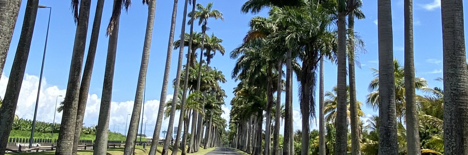 dolcecamara3's profile banner image