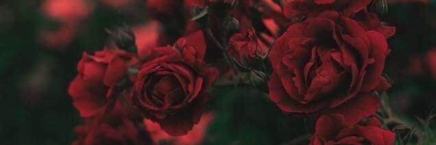 twak22's profile banner image