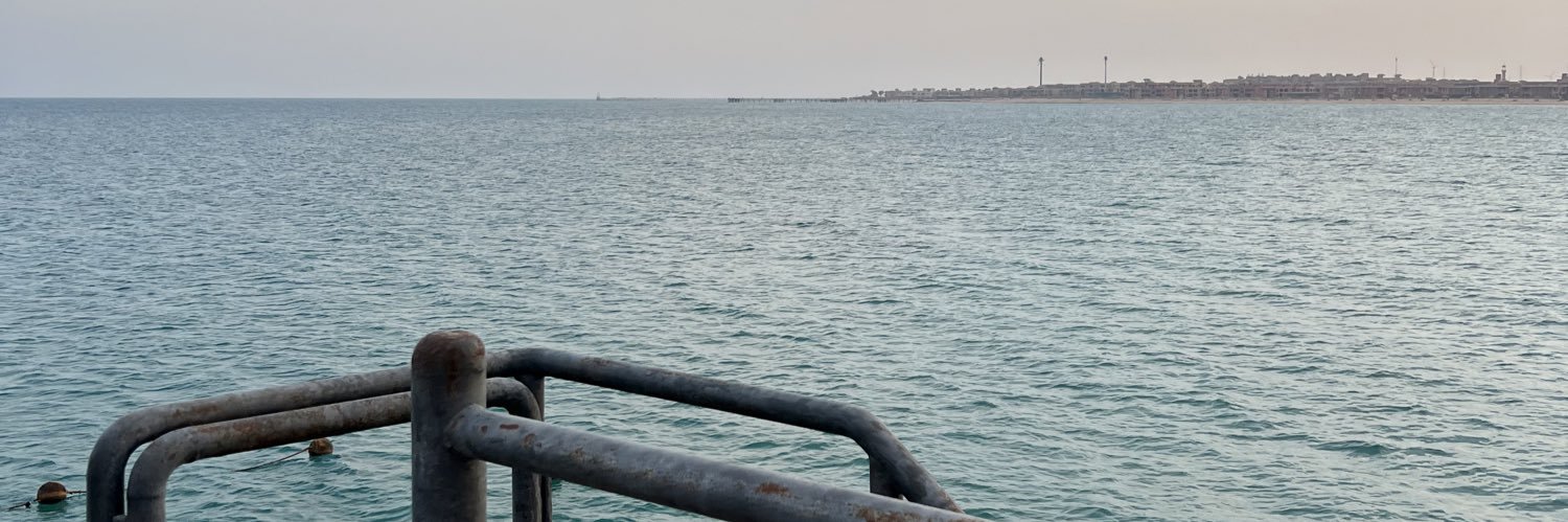 NORANELATROUSH's profile banner image