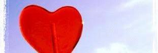 ignorantella's profile banner image
