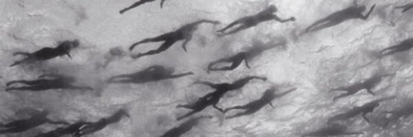 sharks Profile Banner