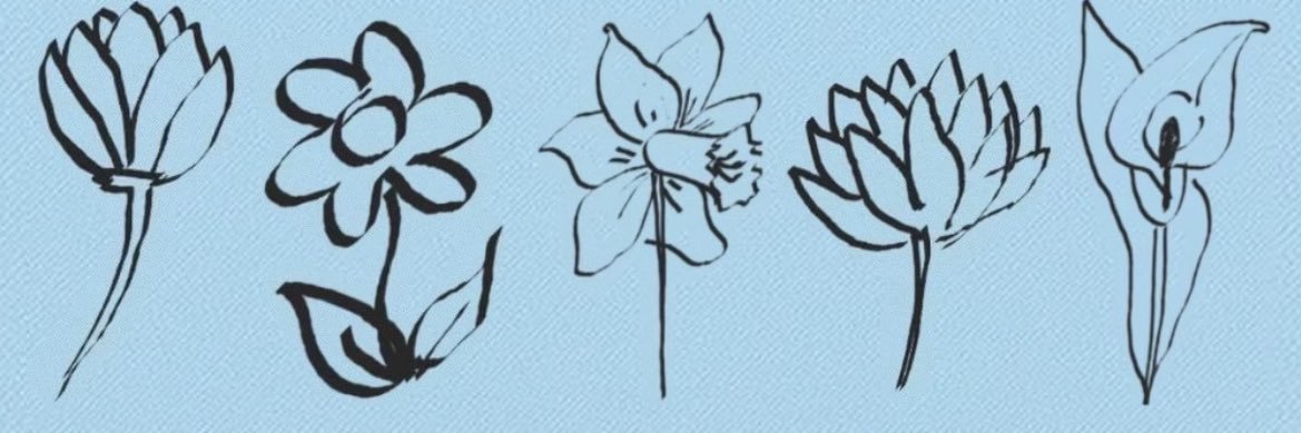 beautyfailed's profile banner image
