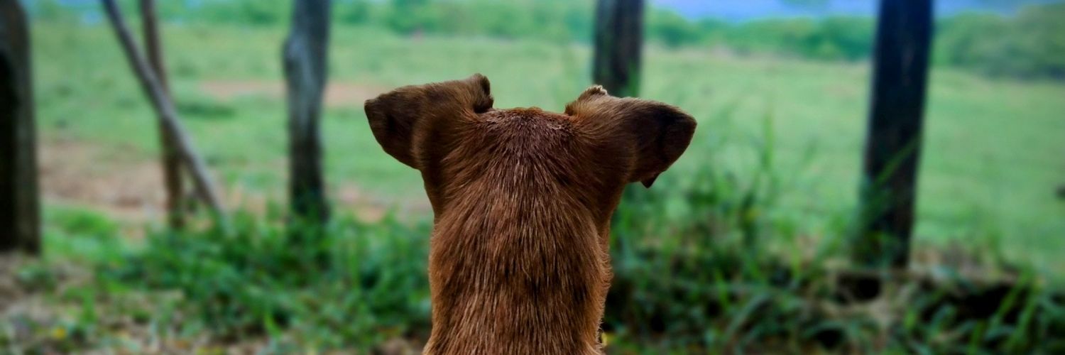 BaMeL_23's profile banner image