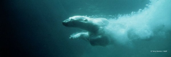 WWF_Arctic Profile Banner
