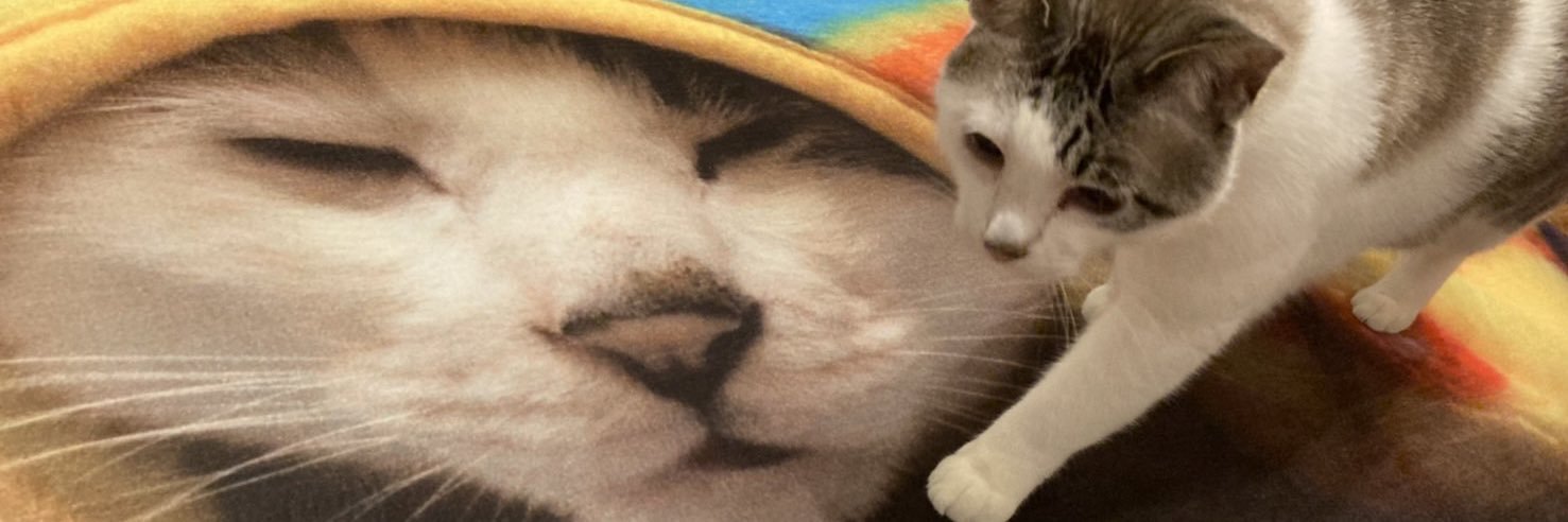 atebox_113's profile banner image