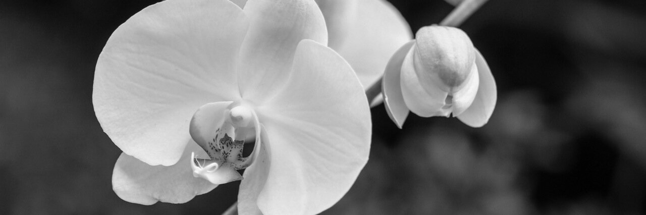 isetiadi's profile banner image