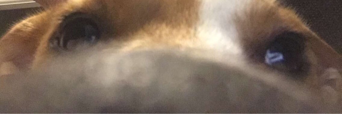 Peachinator07's profile banner image
