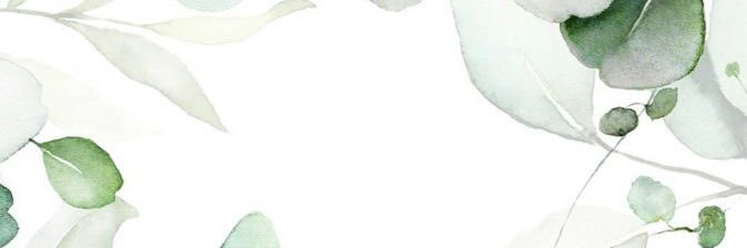 s120005s's profile banner image
