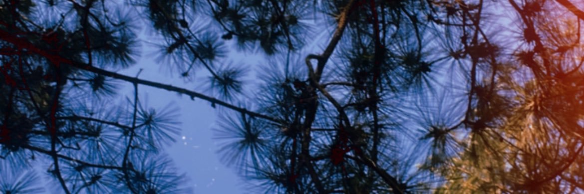 Rubirdz45's profile banner image