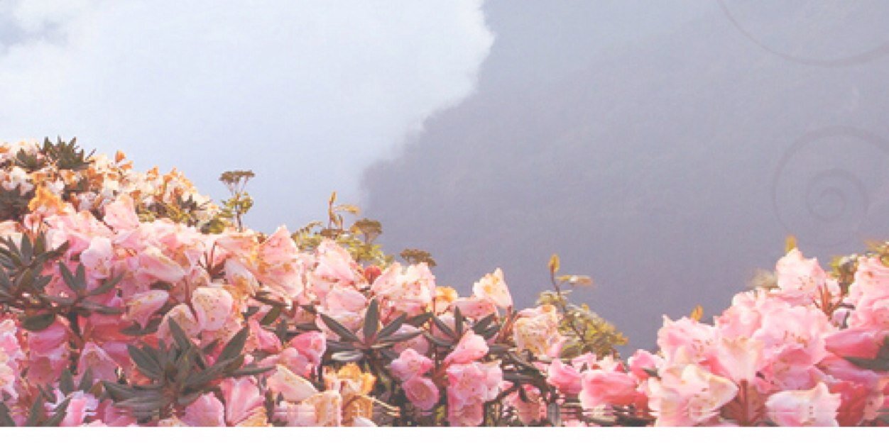 alanooud87's profile banner image