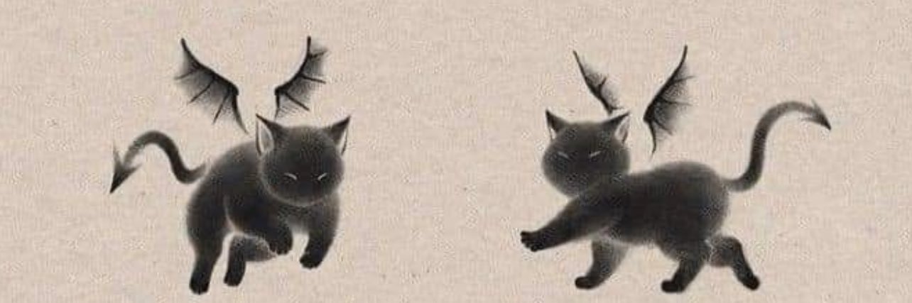 dragonbelsi_'s profile banner image