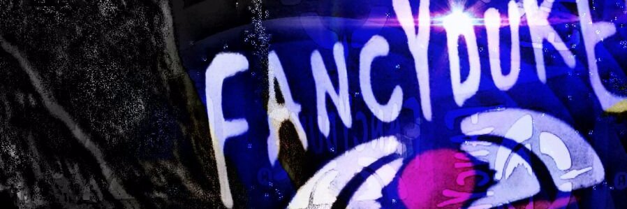 Fancyduke1's profile banner image