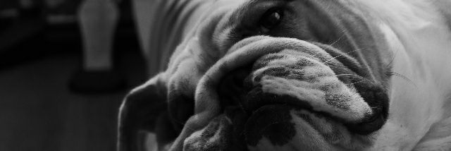brenglebryke's profile banner image