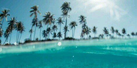 inglm_iris's profile banner image