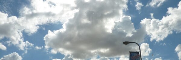 LinhDan_Pham Profile Banner