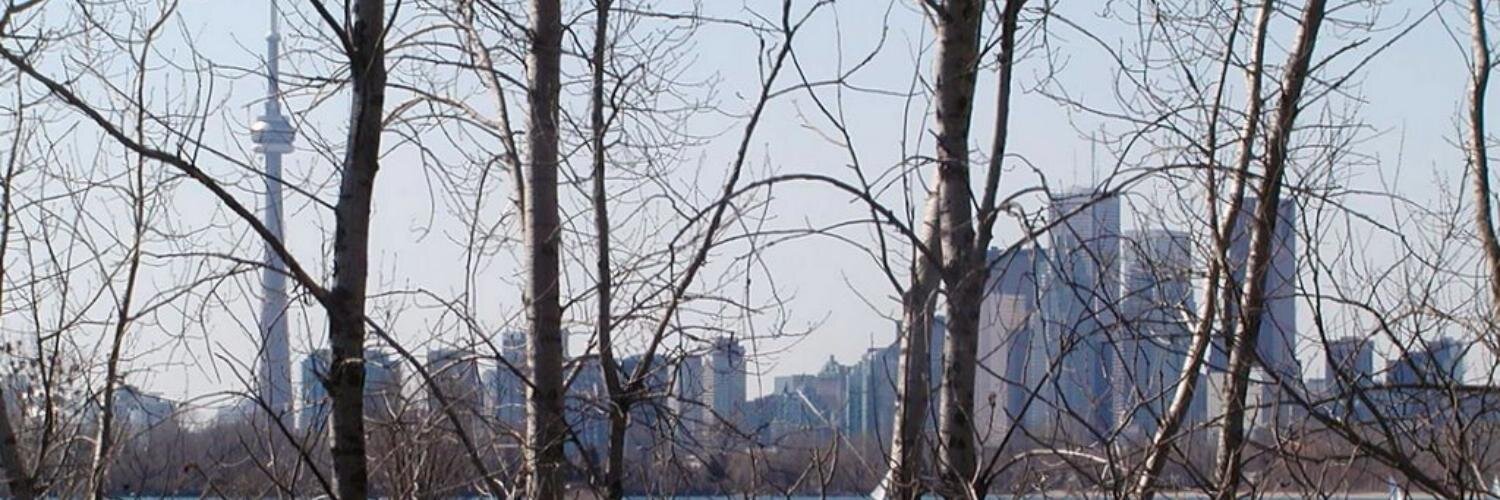 udotoronto's profile banner image