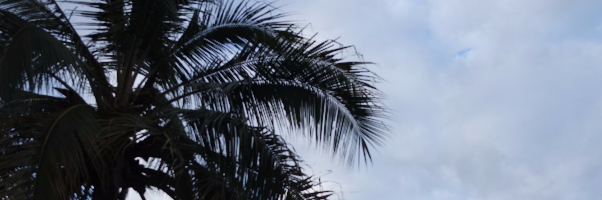 vilaevilasio's profile banner image