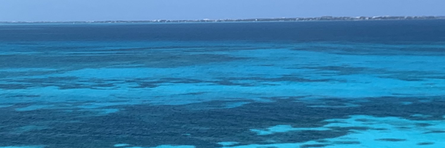 lanczyner's profile banner image