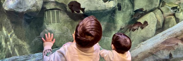 Tee_Tres Profile Banner