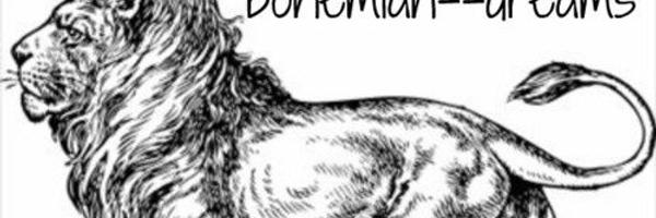 drksky79 Profile Banner