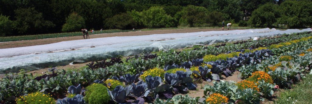 UVM Food Feed banner