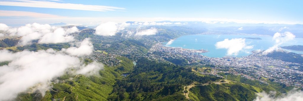 ZEALANDIA's profile banner image
