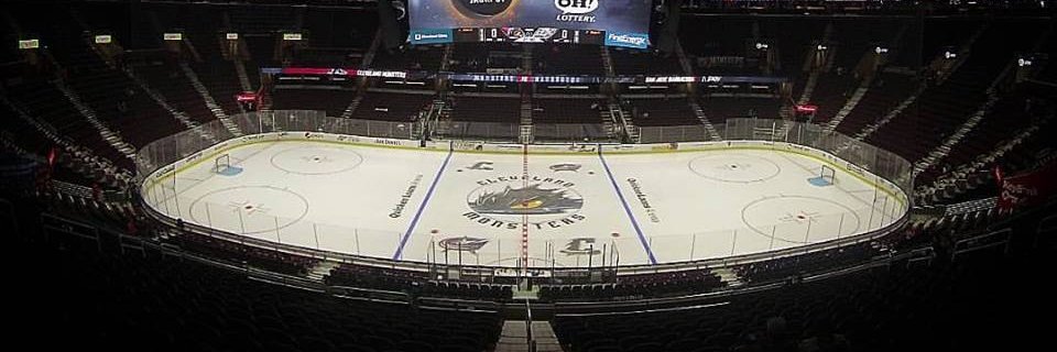 x-Elaine Shircliff banner