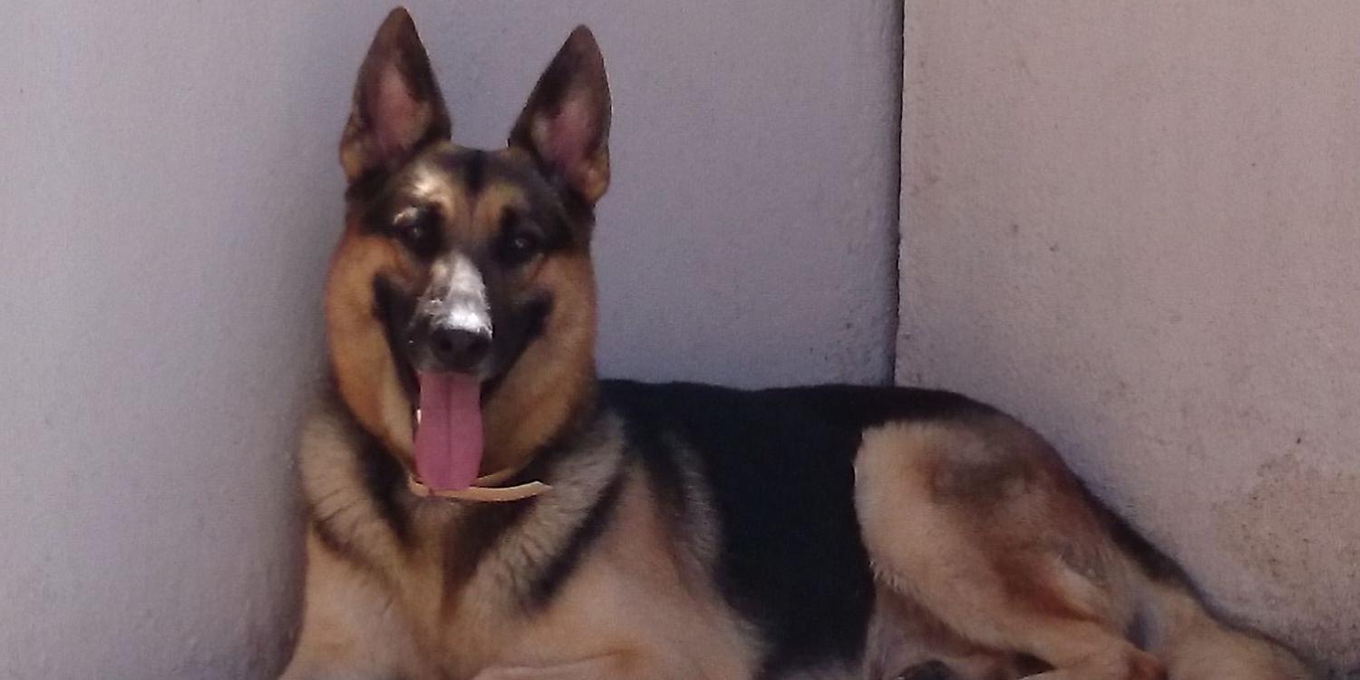 PonchilloBar's profile banner image