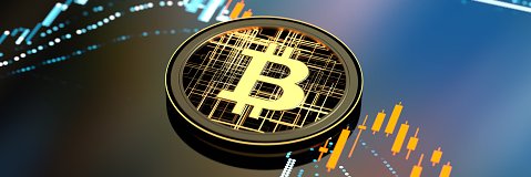 CryptoPaultje's profile banner image