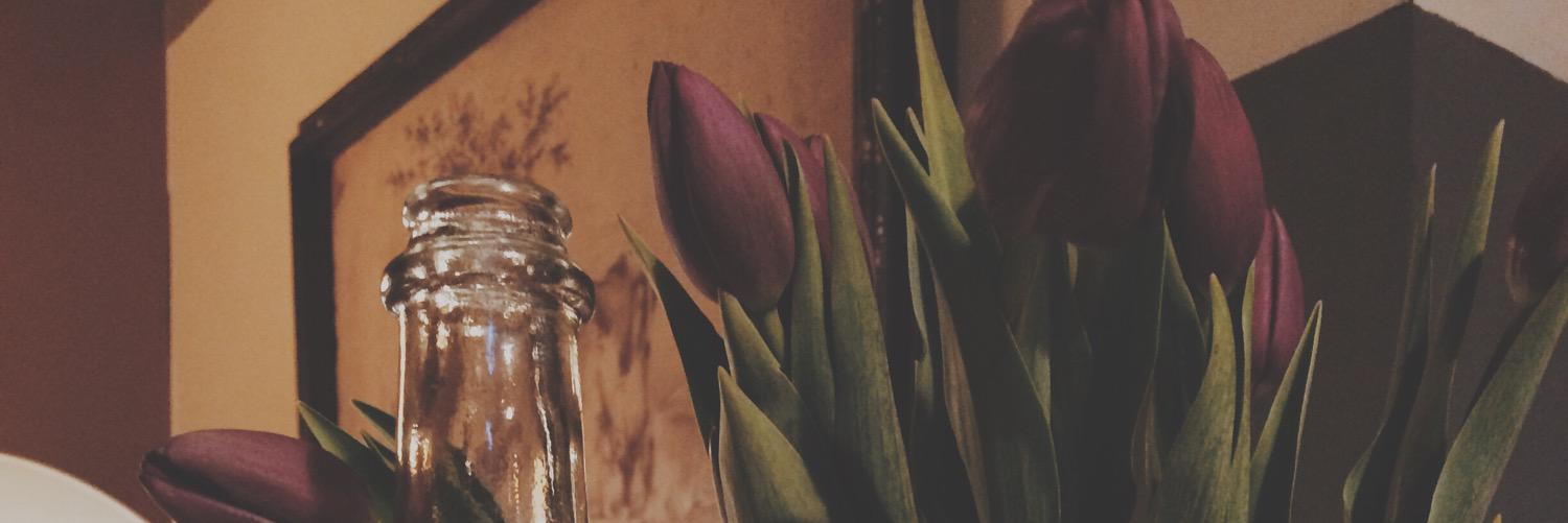 CatSavitch's profile banner image