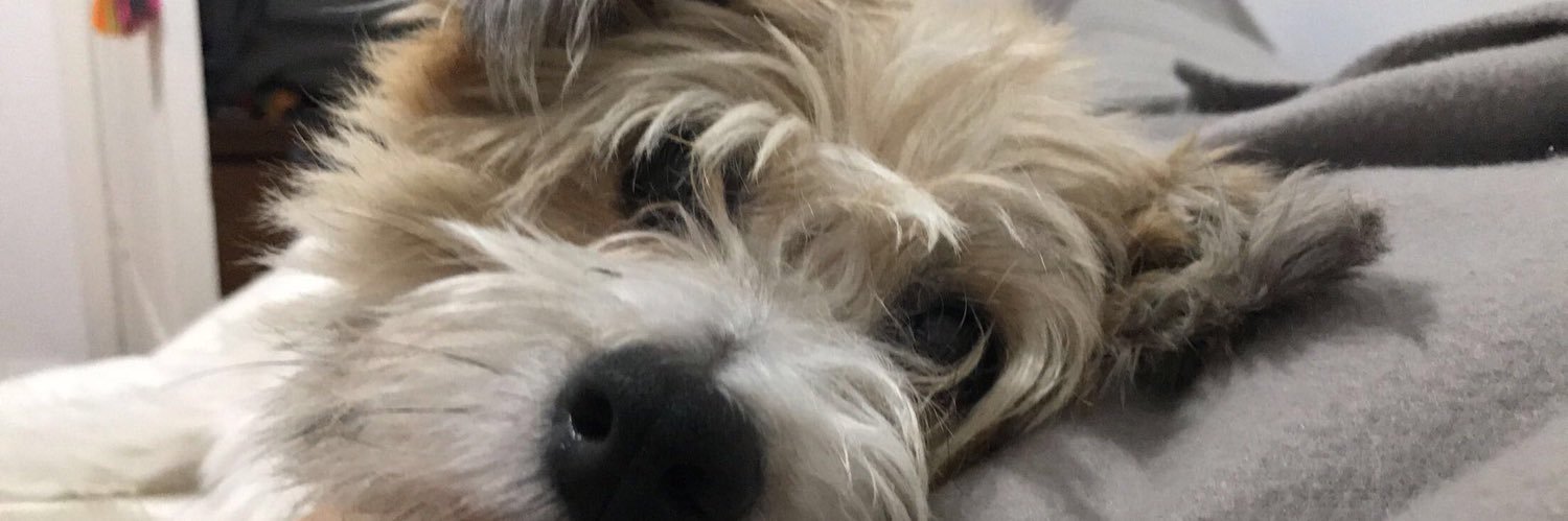 duli_pa's profile banner image