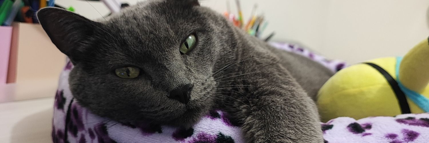MikaDelPuerto's profile banner image