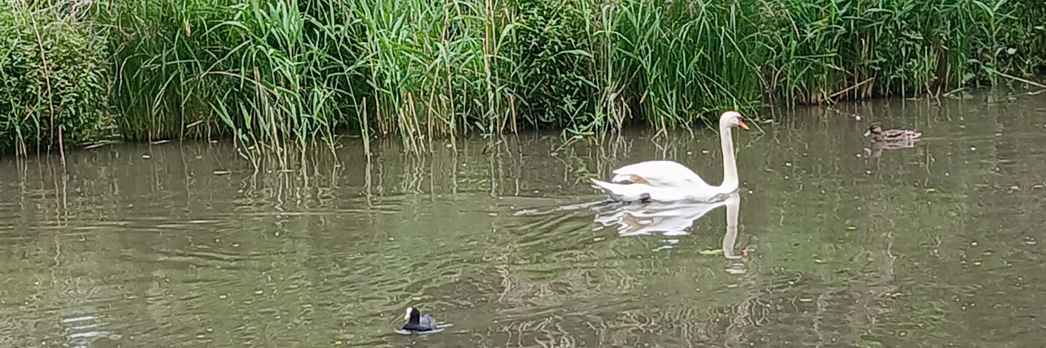 Janette Jones banner