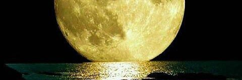 stephengordon62's profile banner image