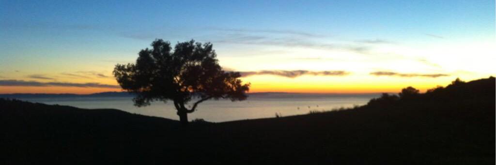 anniebarker2's profile banner image